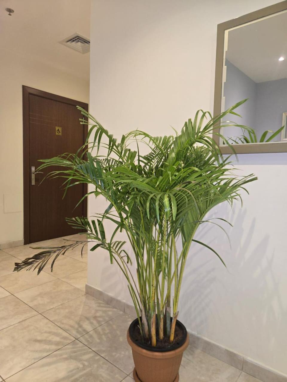 Al Raya Hotel Apartments Dubaï Extérieur photo